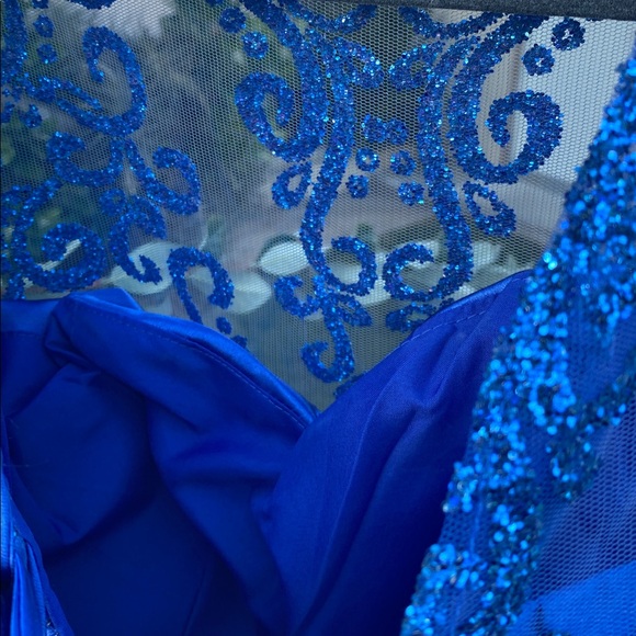 Royal Blue Lace & Tulle Floor-Length Ball Gown with Built-In Petticoat - Picture 8 of 17